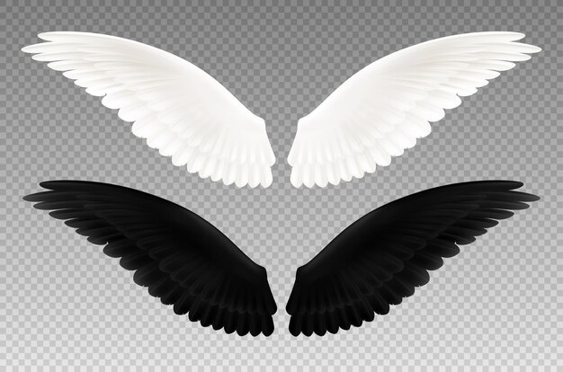 分離された善と悪のシンボルとして透明な翼の現実的な黒と白のペアのセット