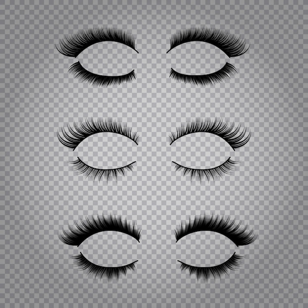 Free vector set of realistic false lashes for upper and lower eye lids isolated on transparent background