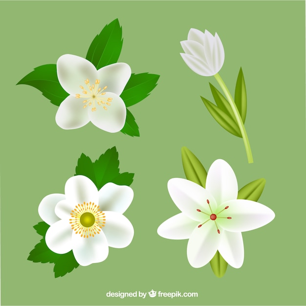 Set of realistic flowers in white color