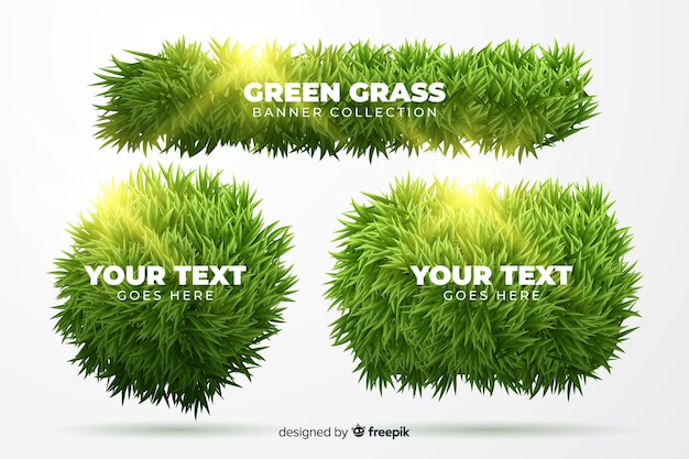 Set of realistic grass banner 