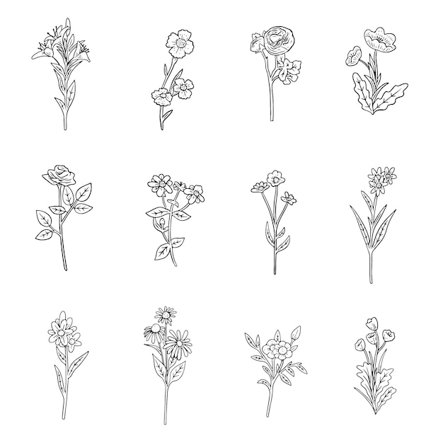 Free vector set of realistic hand drawn herbs & wild flowers