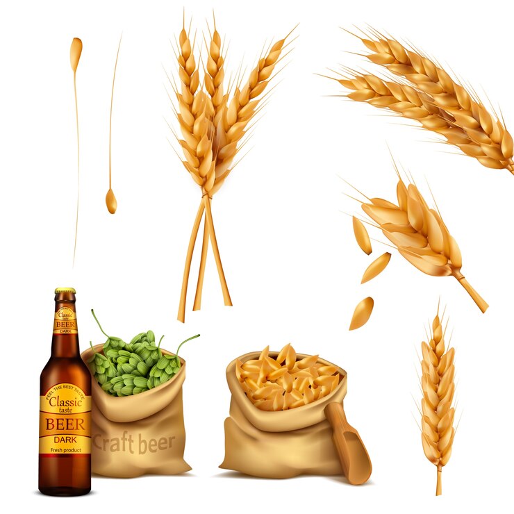 Free Vector set realistic icons, concept of brewing