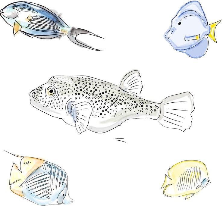Free Vector set of red sea of egypt fishes