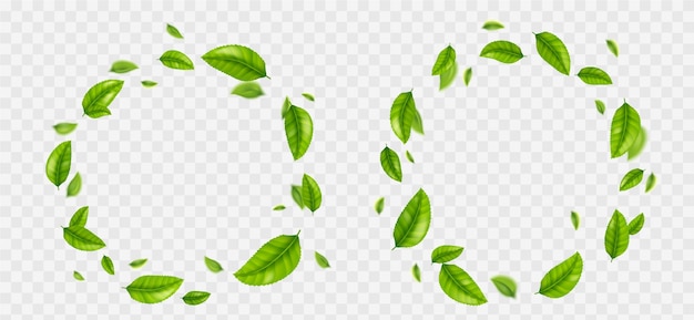 Green Leaf Background png download - 1067*942 - Free Transparent