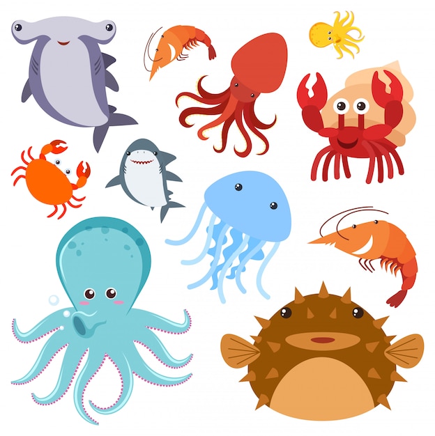 Set of sea animals 