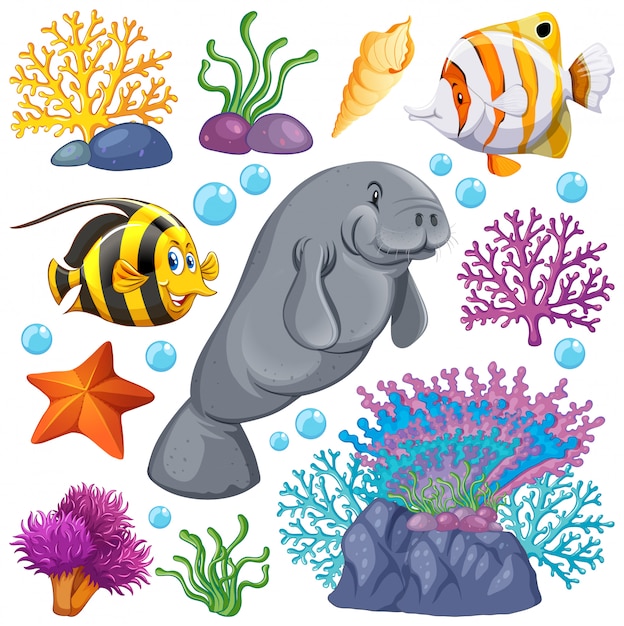 Set of sea creatures and coral on white background