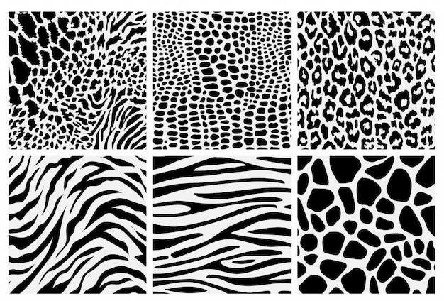 Download Free Zebra Print Images Free Vectors Stock Photos Psd Use our free logo maker to create a logo and build your brand. Put your logo on business cards, promotional products, or your website for brand visibility.