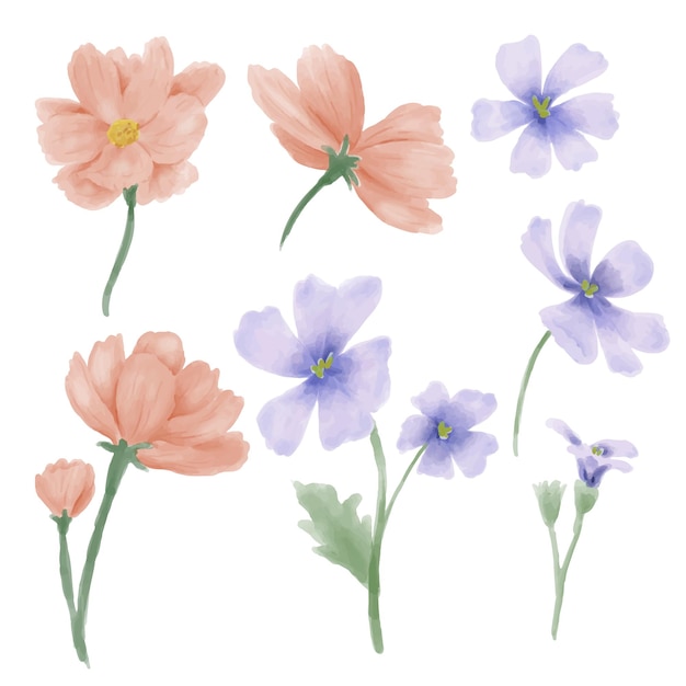 Set of Separate parts and bring together to beautiful bouquet of flowers in water colors style on white background flat vector illustration