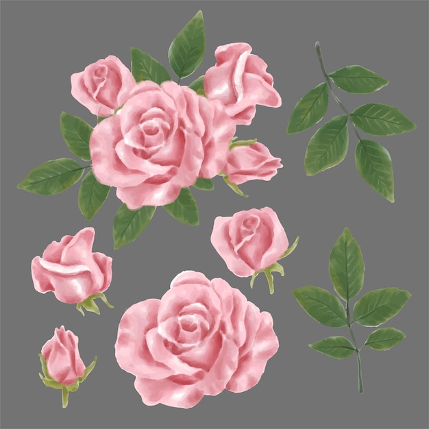 Set of Separate parts and bring together to beautiful bouquet of flowers in water colors style on white background flat vector illustration