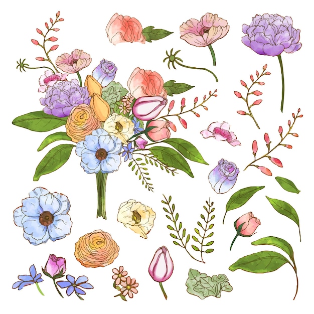 Vettore gratuito set di parti separate e riunire un bellissimo bouquet di fiori in stile acquarello su sfondo bianco piatto illustrazione vettoriale