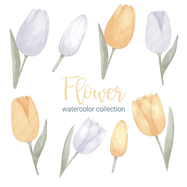 Free vector set of separate parts and bring together to beautiful bouquet of flowers in water colors style on white background flat vector illustration