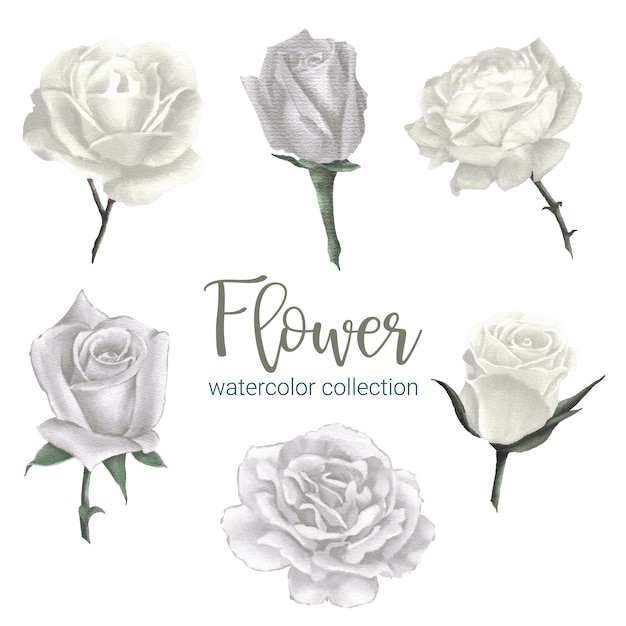 Free vector set of separate parts and bring together to beautiful bouquet of flowers in water colors style on white background flat vector illustration