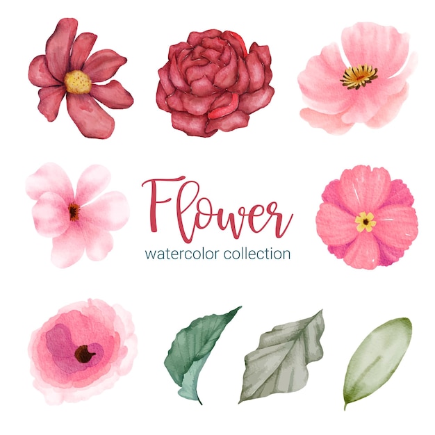 Set of Separate parts and bring together to beautiful bouquet of flowers in water colors style on white background flat vector illustration