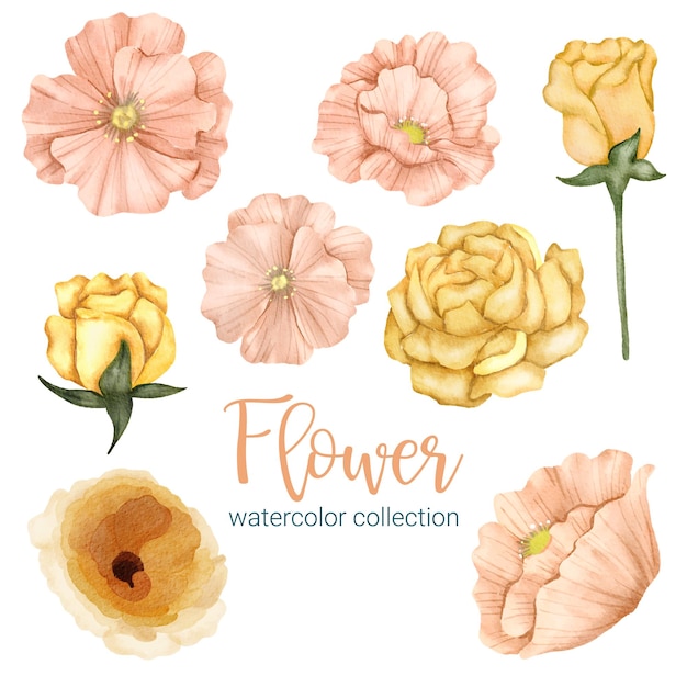 Set of Separate parts and bring together to beautiful bouquet of flowers in water colors style on white background flat vector illustration