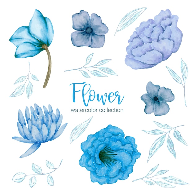 Set of separate parts and bring together to beautiful bouquet of flowers in water colors style on white background flat vector illustration