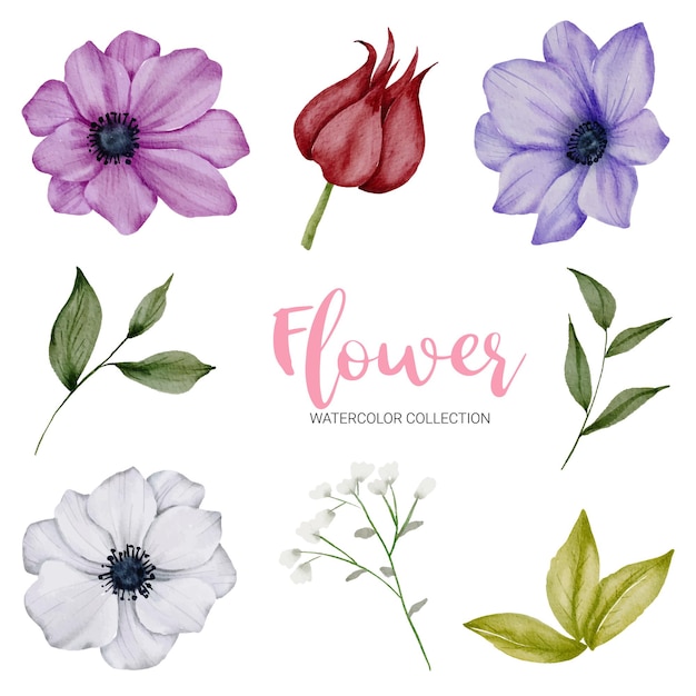 Set of Separate parts and bring together to beautiful bouquet of flowers in watercolor style