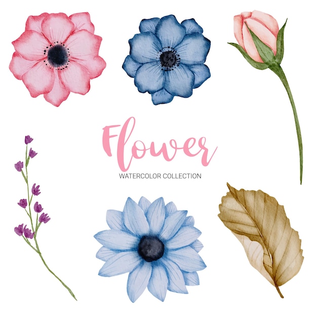 Набор отдельных частей и собрать красивый букет цветов в стиле акварели