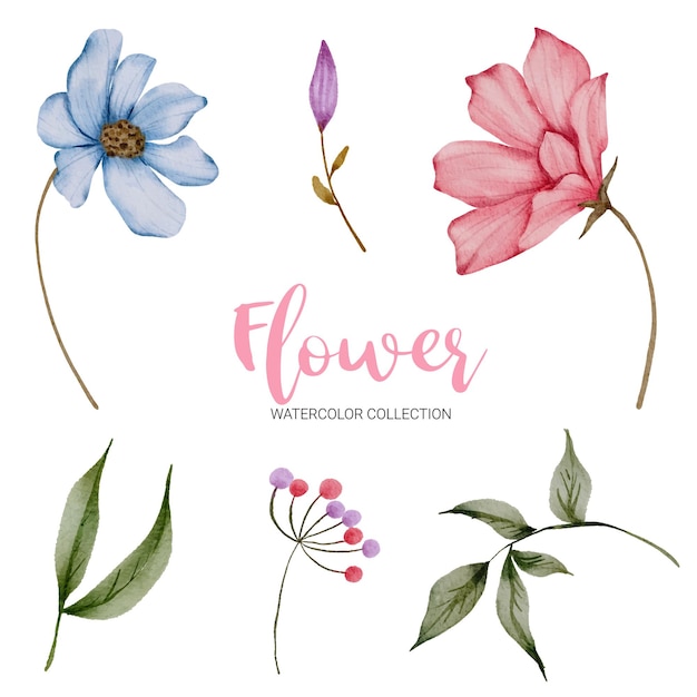 Set of Separate parts and bring together to beautiful bouquet of flowers in watercolor style