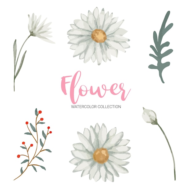 Free vector set of separate parts in watercolor style on white