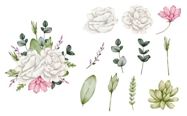 Set of Separate parts in watercolor style on white