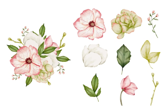 Free vector set of separate parts in watercolor style on white