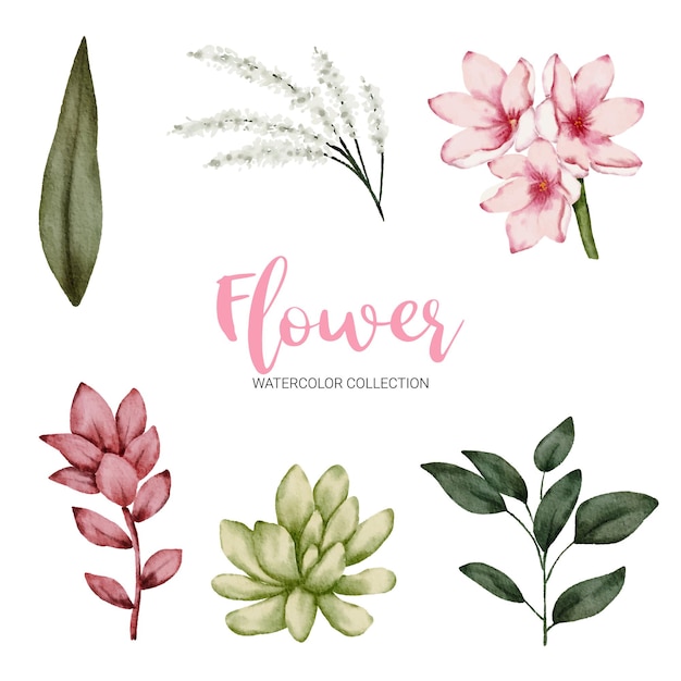 Free vector set of separate parts in watercolor style on white