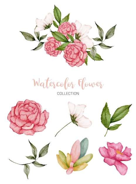 Set of Separate parts in watercolor style on white