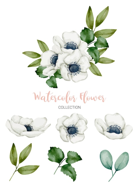 Free vector set of separate parts in watercolor style on white