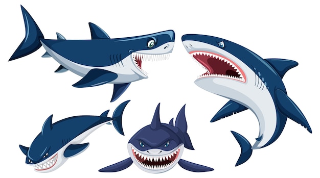 Free vector set of shark cartoon character