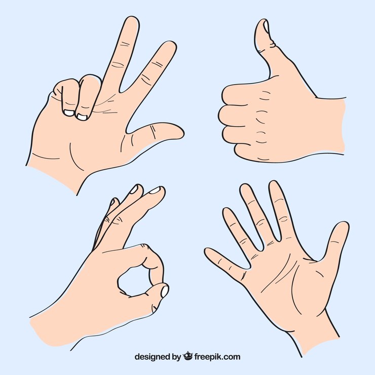 무료 Vector 수화의 집합