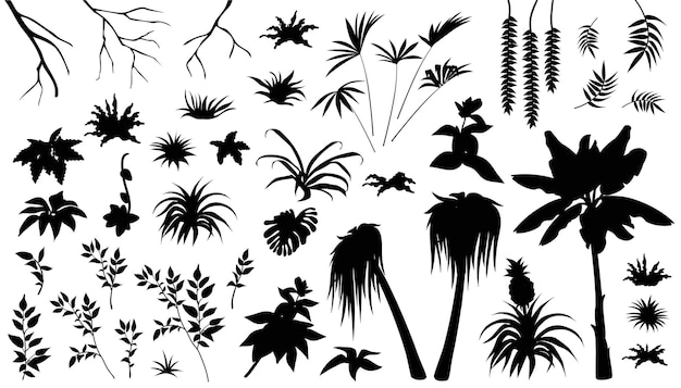 Free vector set of silhouettes leafs palm and liana