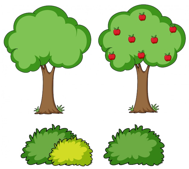 Set of simple tree