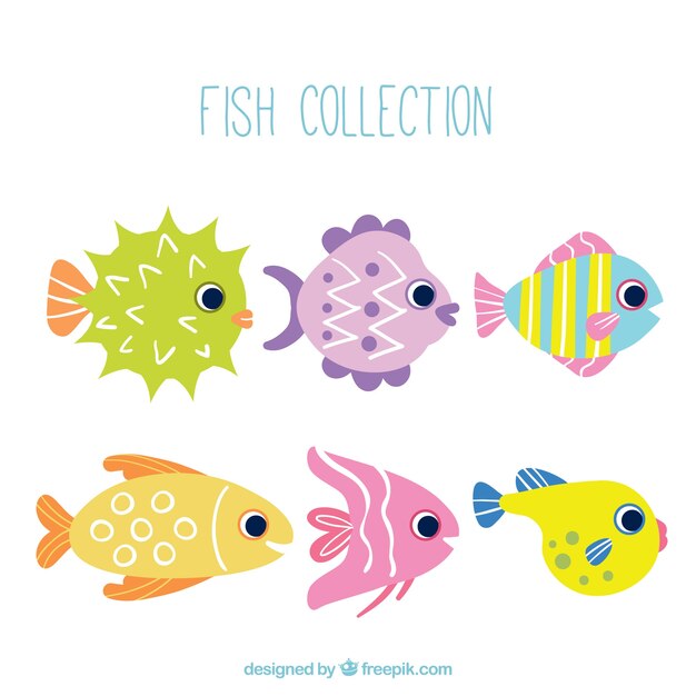 Set of six fish in different colors