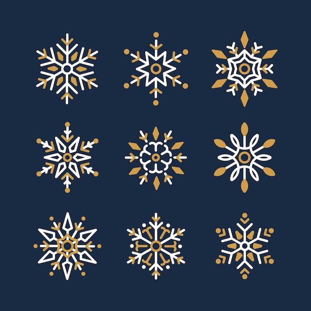 Set of Snowflakes Christmas design vector