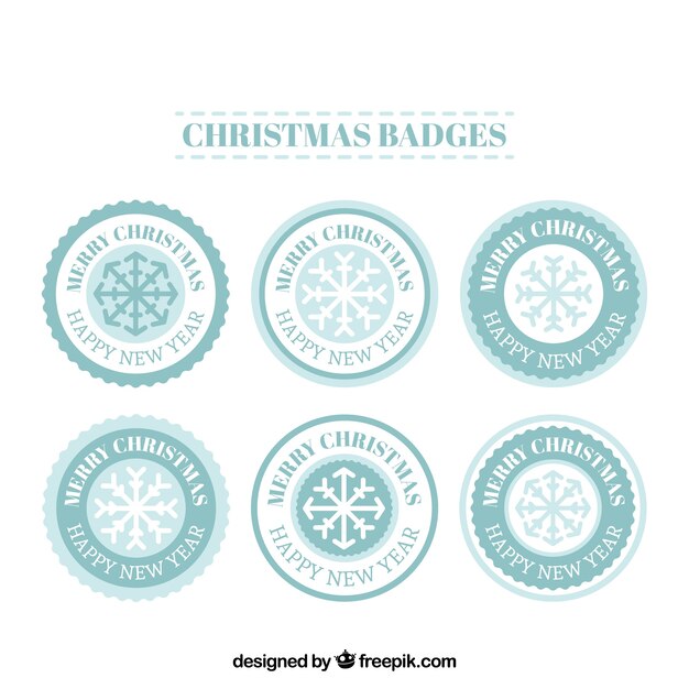 Set of snowflakes stickers in flat design