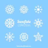 Free vector set of snowflakes with different forms