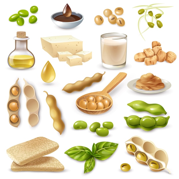 Набор соевых продуктов питания со спелыми бобами и зелеными листьями на белом изолированные
