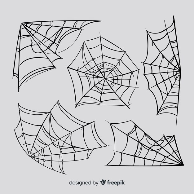 Set of spider webs