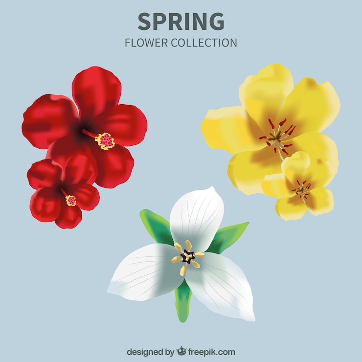 無料Vector 現実的なスタイルで春の花のセット