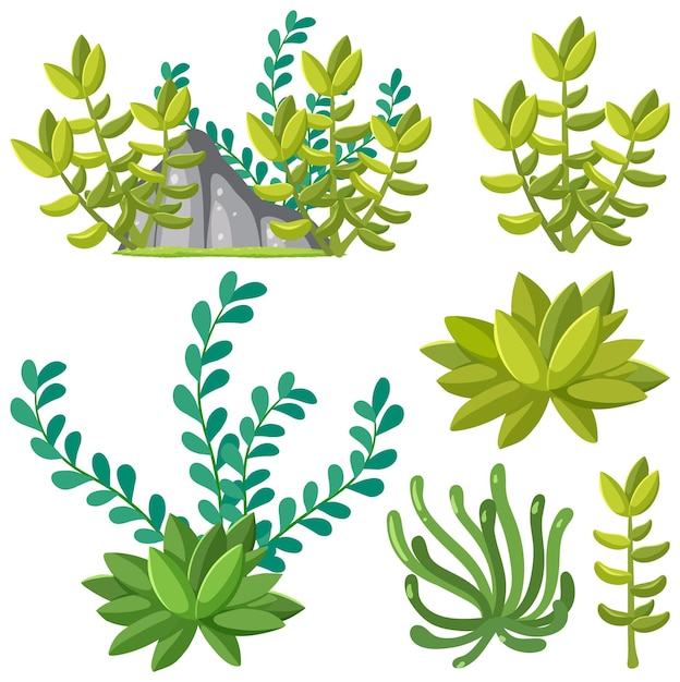 Free vector set of succulent plants for decoration
