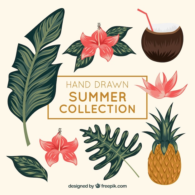 Set of summer elements with plants and fruit in hand drawn style