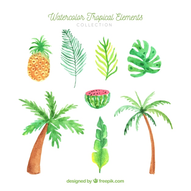 Set of summer elements with plants and fruits in watercolor style