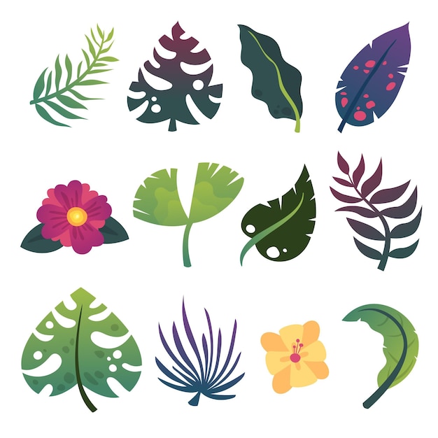 Set of summertime exotic leaves and flowers