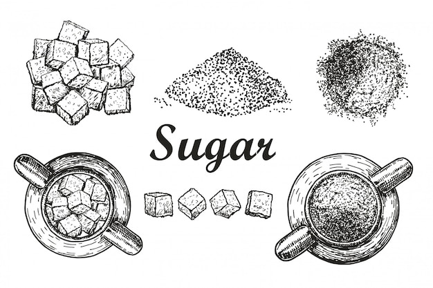 Set sweet refined crystal sugar and sugar in bulk white background. ingredient for coffee, tea. sugar in sugar bowl. sketch style  illustration. hand drawn   elements