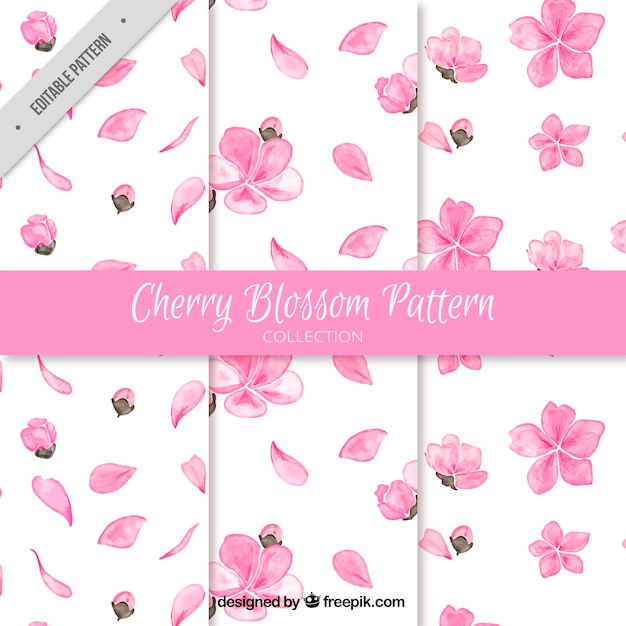 Set of three watercolor cherry blossom patterns