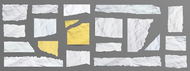 Set of torn and crumpled paper scraps