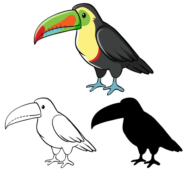 Set of toucan cartoon