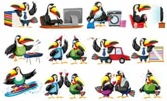 Free vector set of toucan character