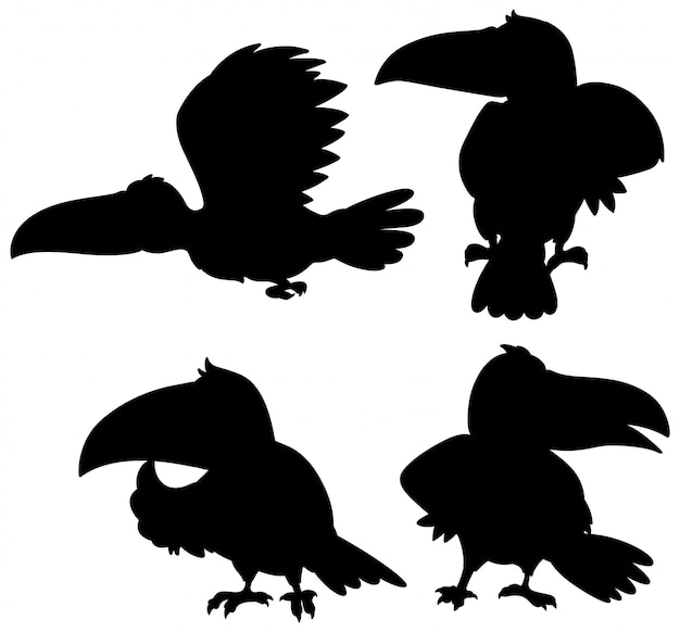 Free vector set of toucan silhouette