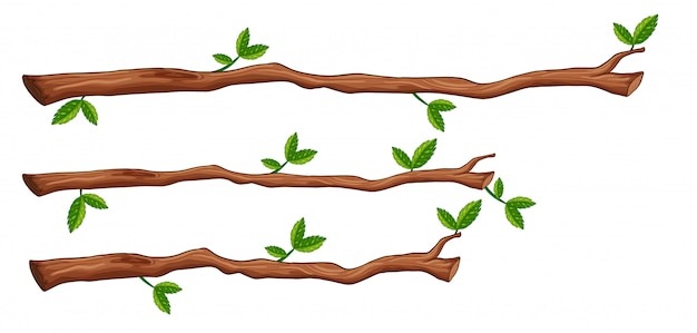 Free vector a set of tree branch